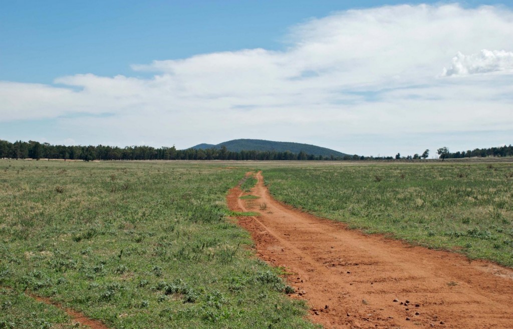 land-investments