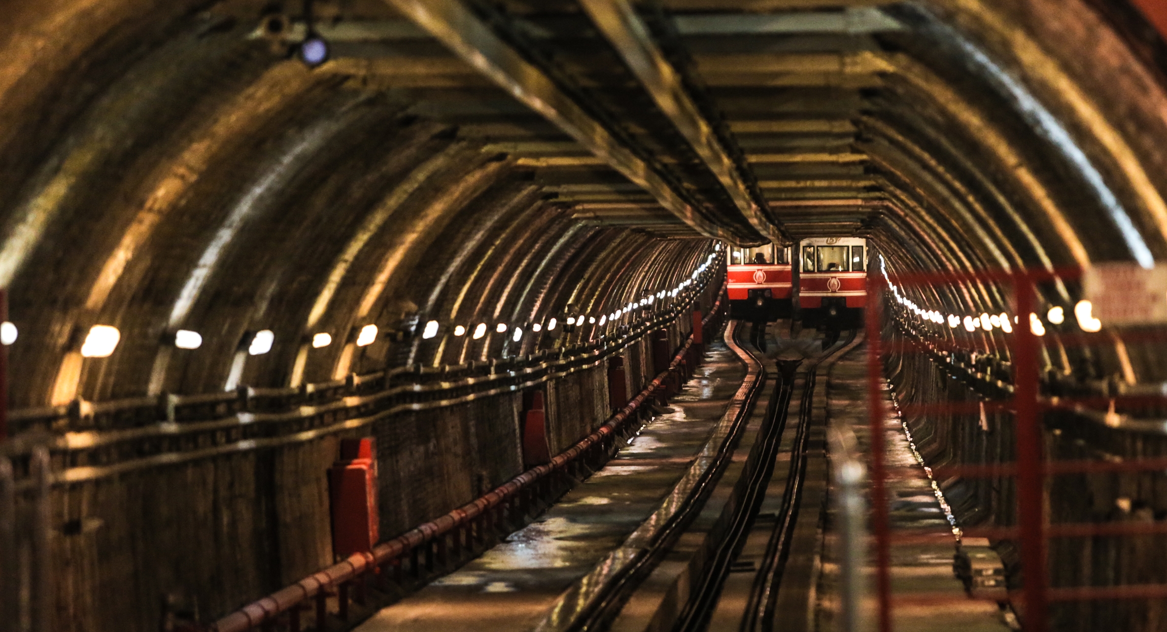 d_8248_2.jpg
