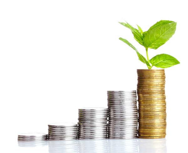 turkey-invested-news