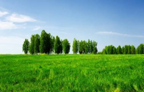 Treasury-Land-For-Koran-Courses.jpg