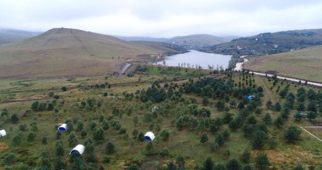 arab-tourist-interest-in-plateau.jpg